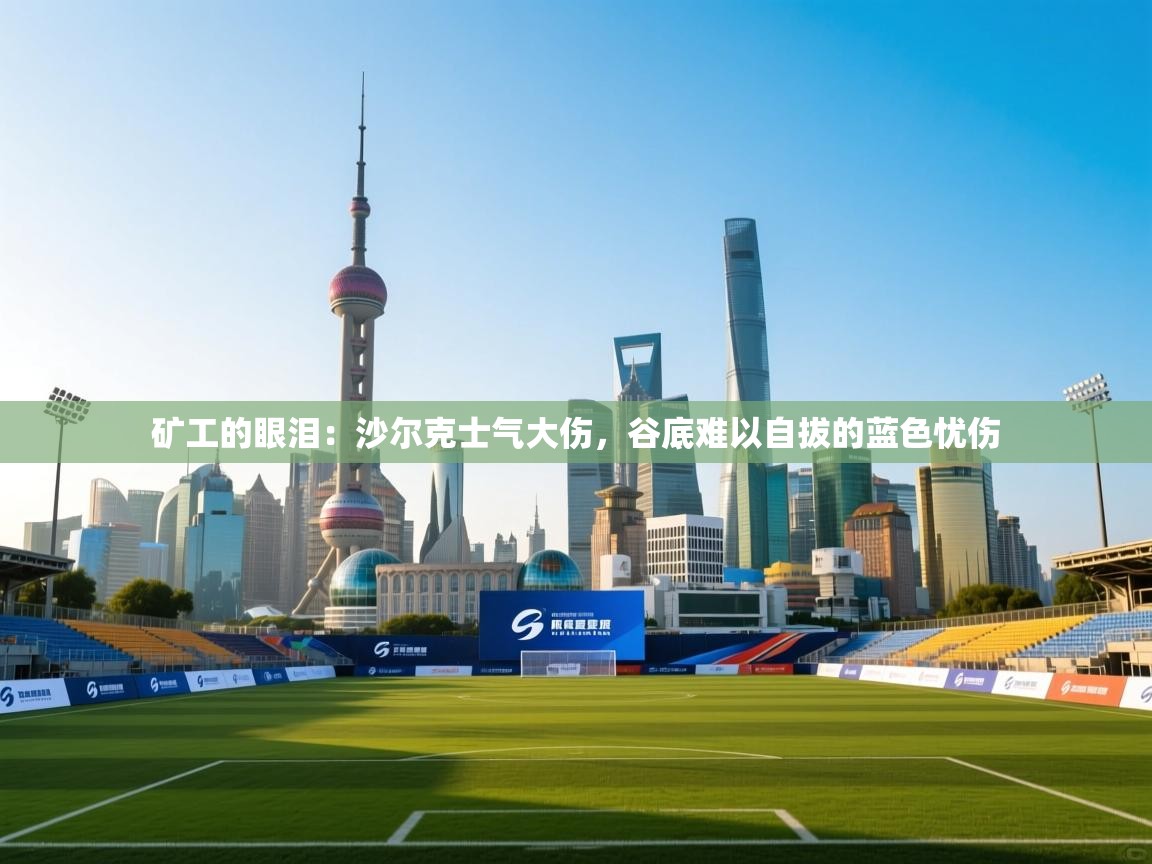 矿工的眼泪：沙尔克士气大伤，谷底难以自拔的蓝色忧伤  第2张